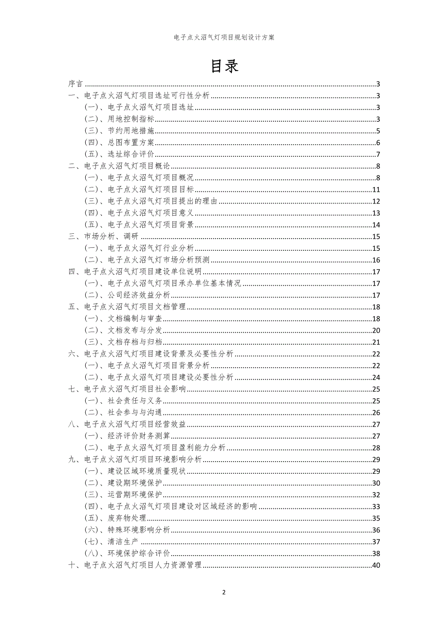 电子点火沼气灯项目规划设计方案_第2页