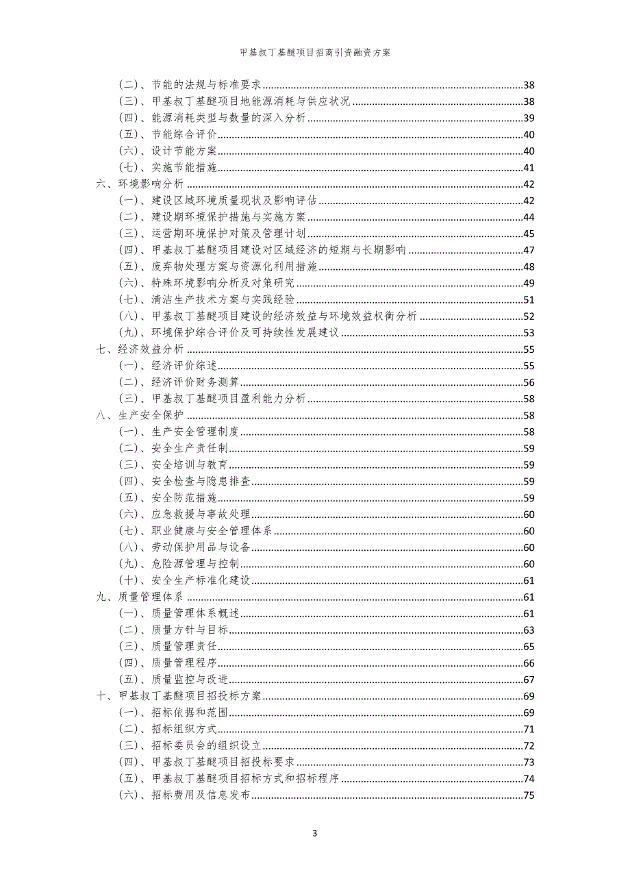 2023年甲基叔丁基醚项目招商引资融资方案_第3页