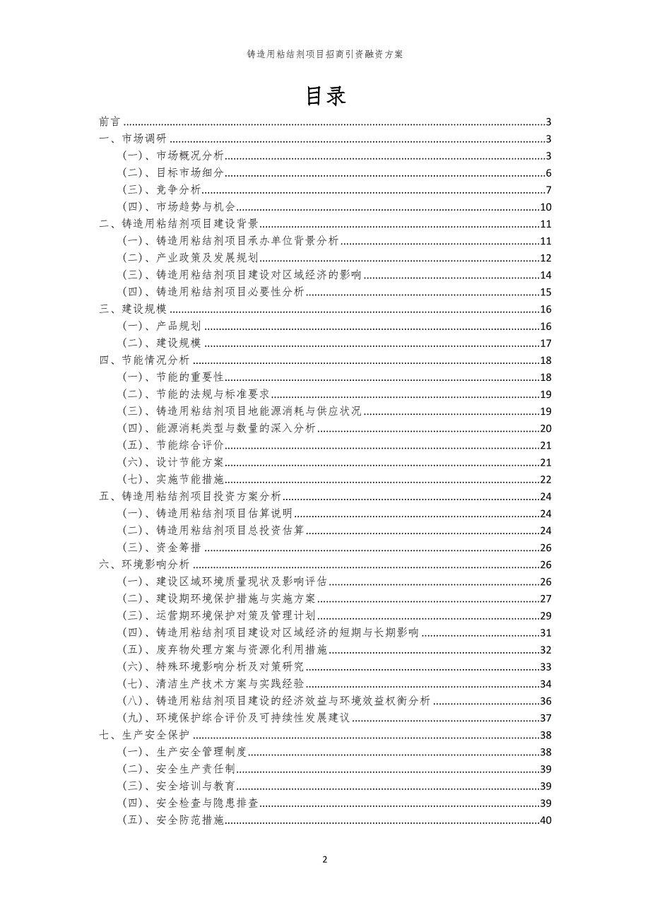 2023年铸造用粘结剂项目招商引资融资方案_第2页