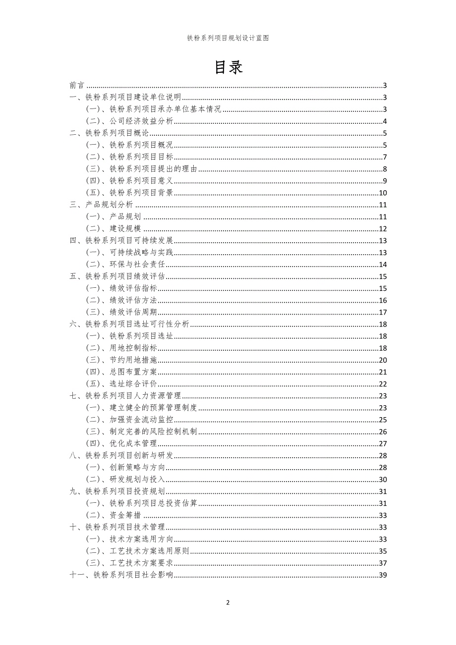 铁粉系列项目规划设计蓝图_第2页