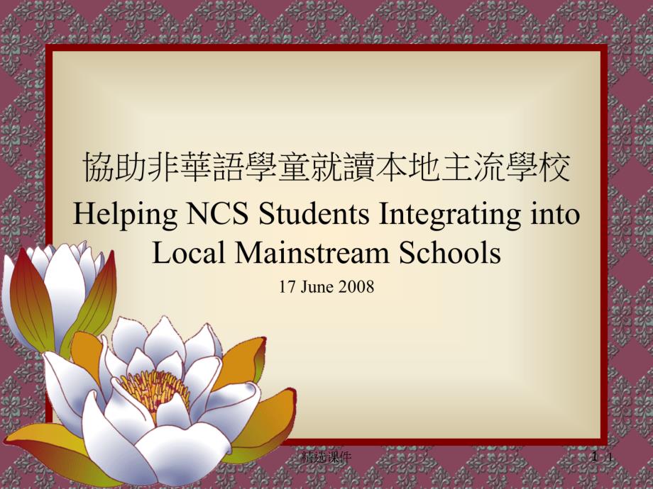 非华语学童教育服务Education Services for NCS Stud_第1页