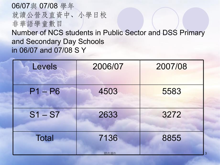非华语学童教育服务Education Services for NCS Stud_第3页