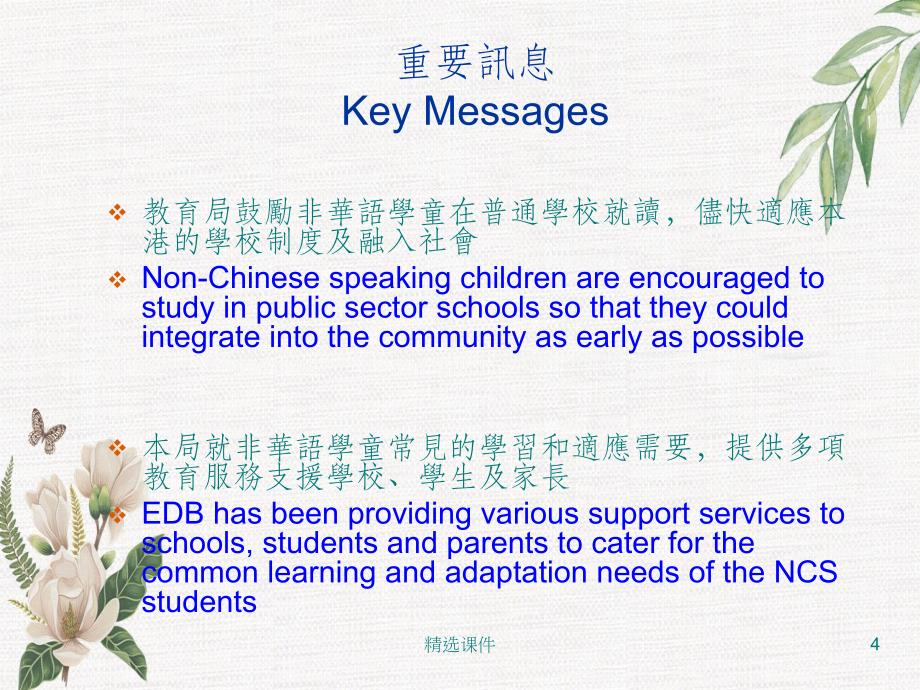 非华语学童教育服务Education Services for NCS Stud_第4页