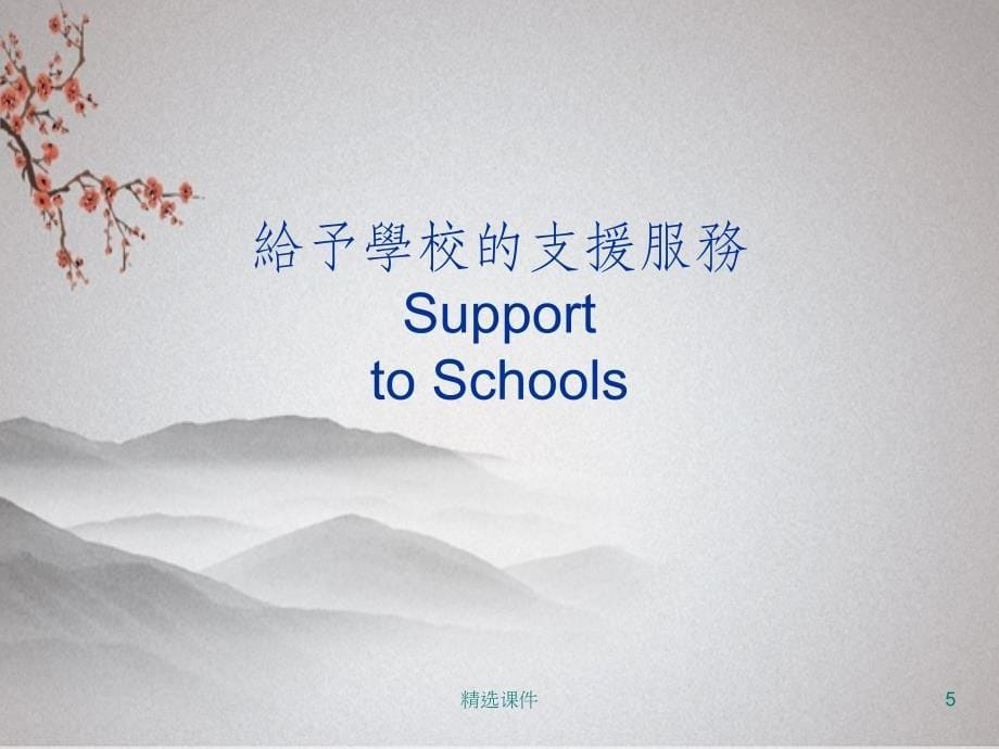 非华语学童教育服务Education Services for NCS Stud_第5页