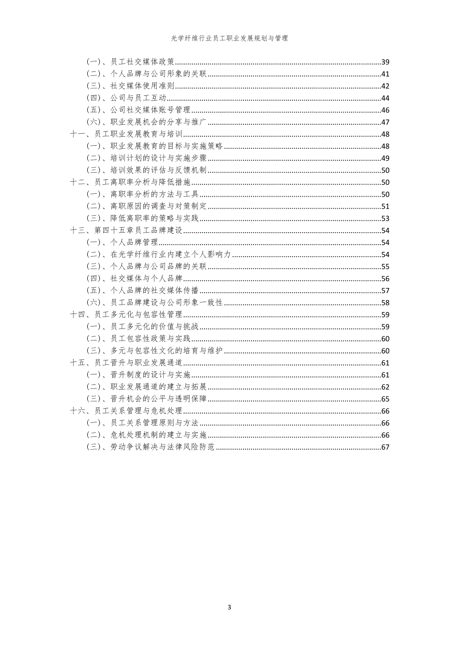 光学纤维行业员工职业发展规划与管理_第3页