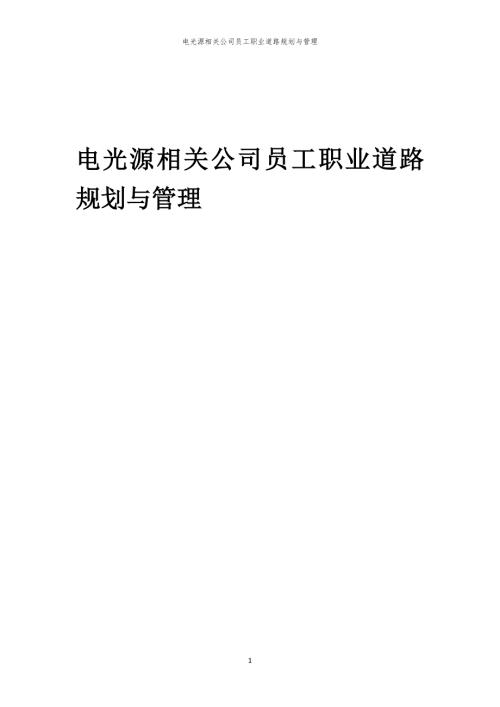 电光源相关公司员工职业道路规划与管理