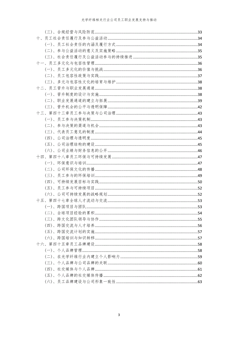 光学纤维相关行业公司员工职业发展支持与推动_第3页