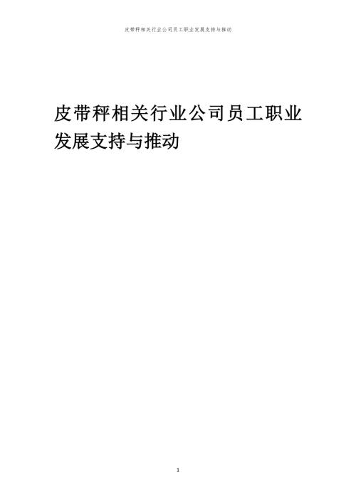 皮带秤相关行业公司员工职业发展支持与推动