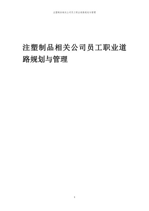 注塑制品相关公司员工职业道路规划与管理