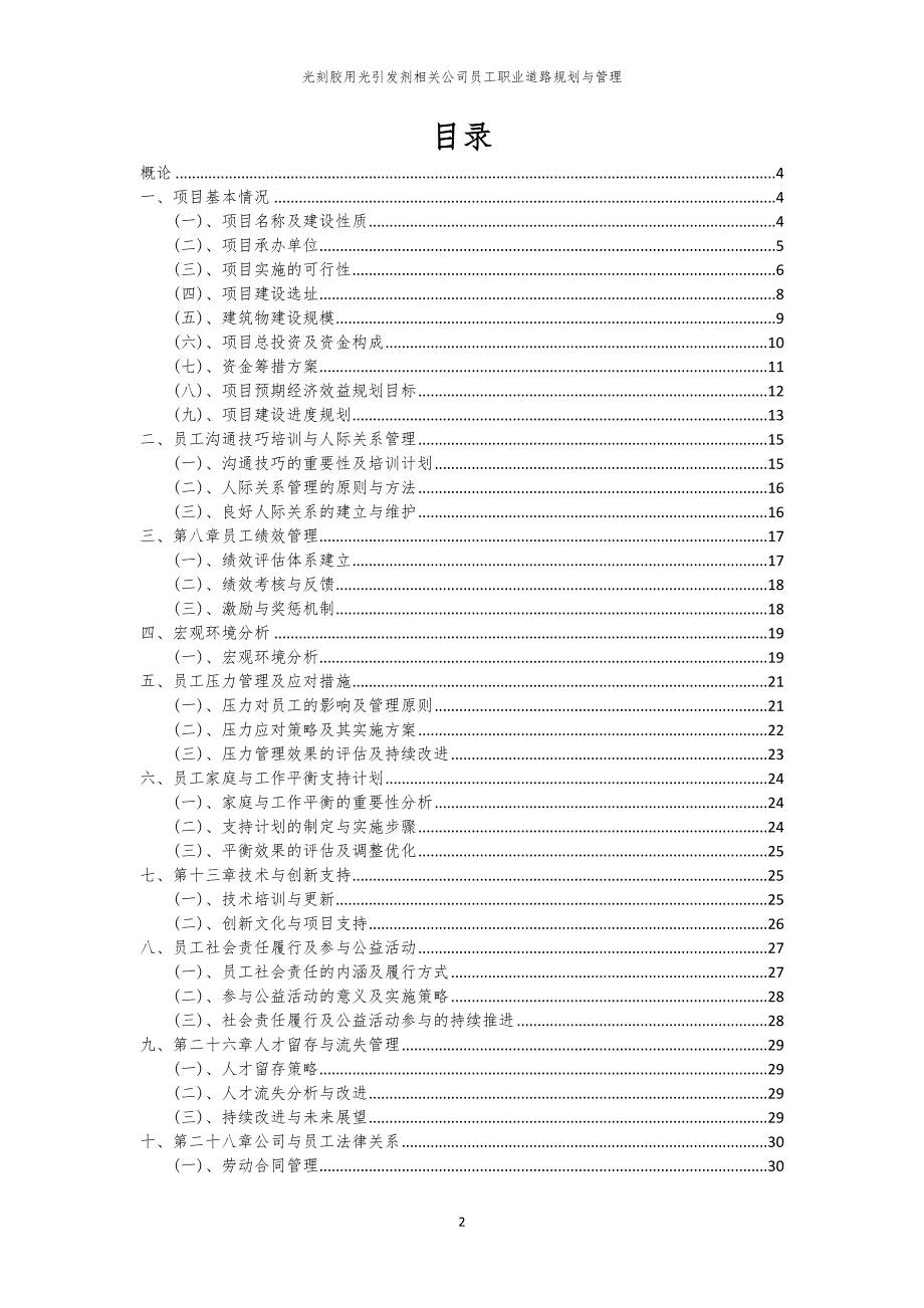 光刻胶用光引发剂相关公司员工职业道路规划与管理_第2页