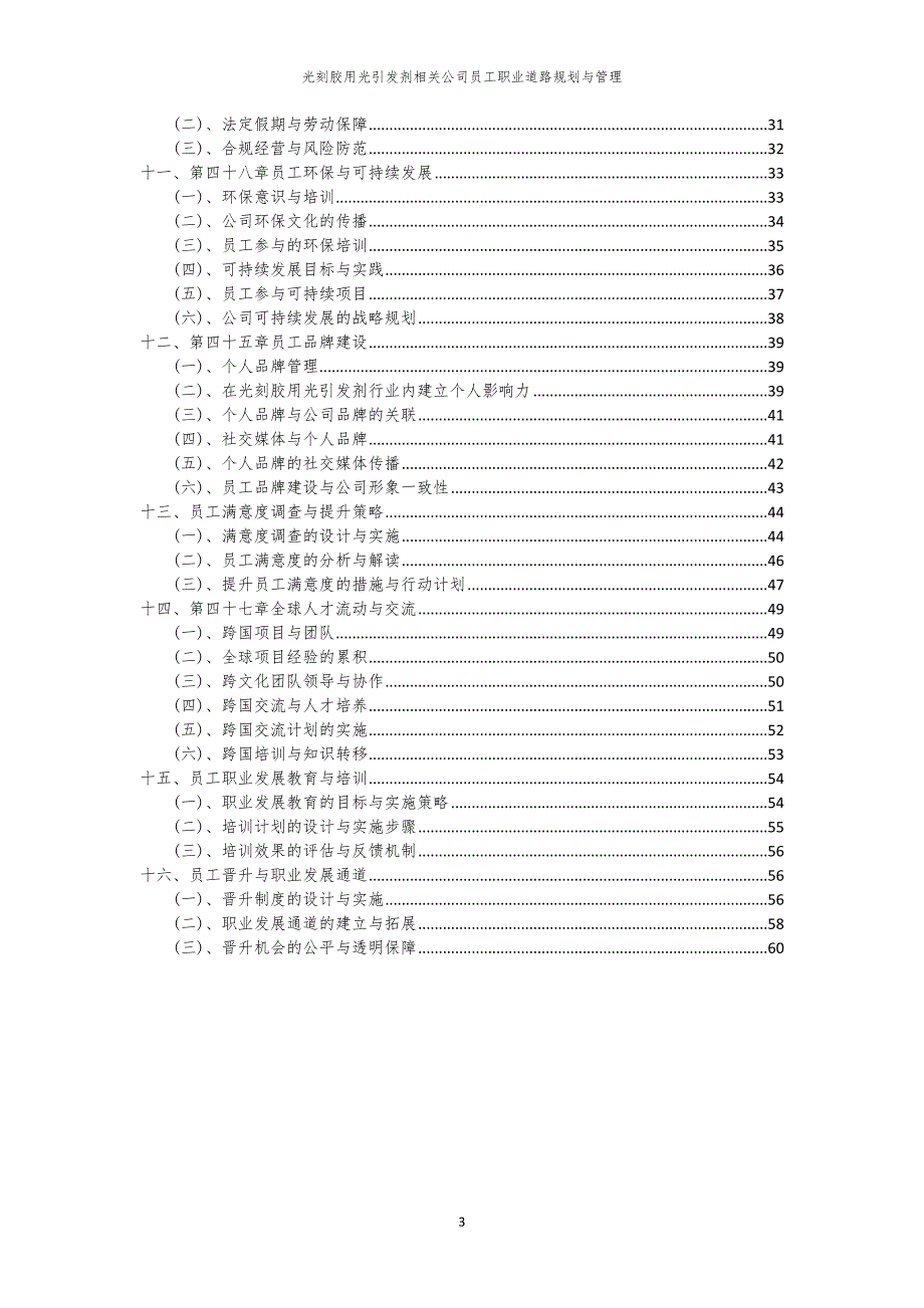 光刻胶用光引发剂相关公司员工职业道路规划与管理_第3页