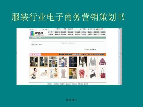 服装行业电子商务营销策划书( 18)
