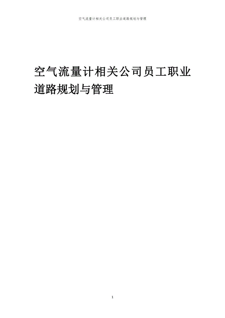 空气流量计相关公司员工职业道路规划与管理_第1页