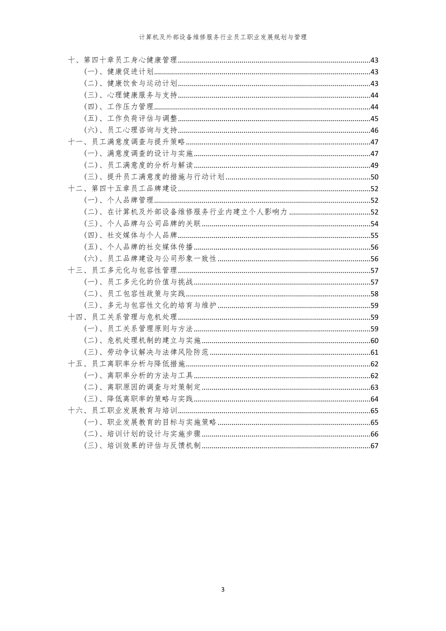 计算机及外部设备维修服务行业员工职业发展规划与管理_第3页