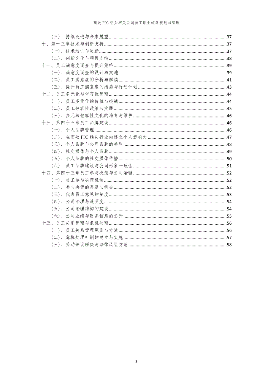 高效PDC钻头相关公司员工职业道路规划与管理_第3页