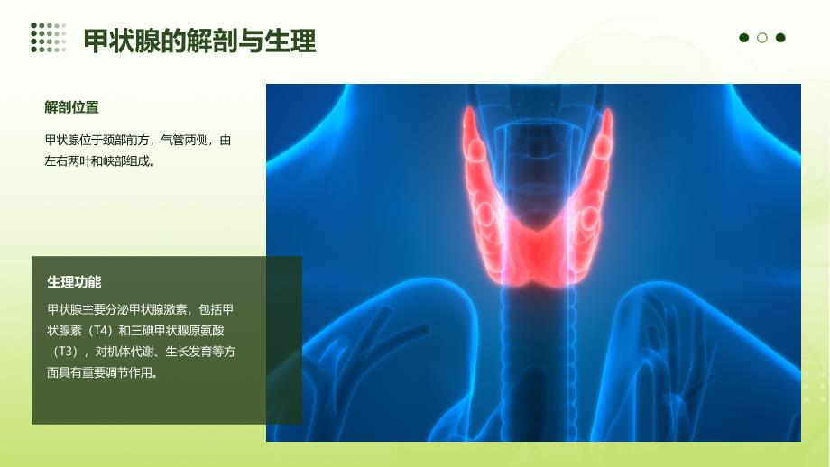 甲状腺查房教学课件_第4页