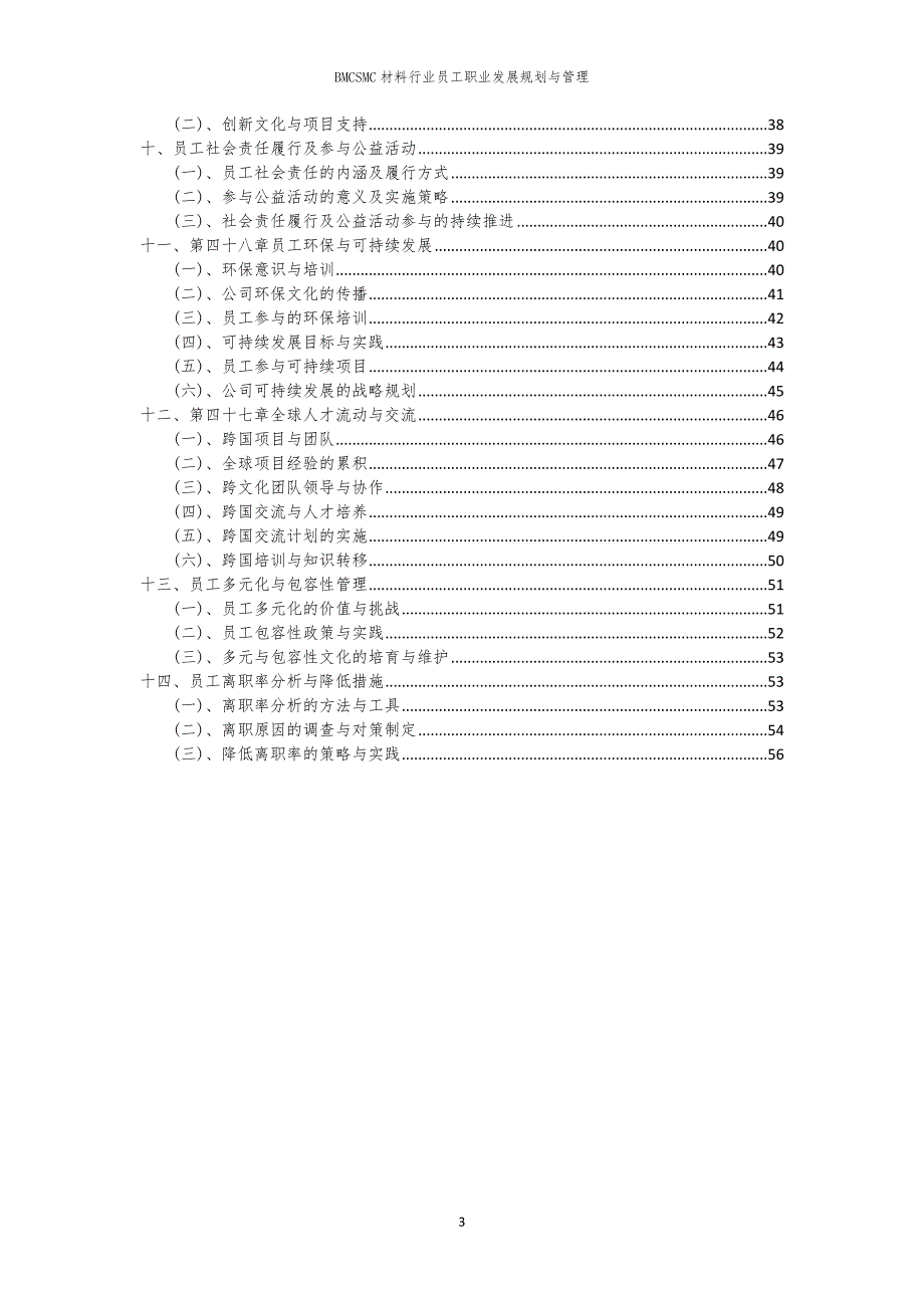 BMCSMC材料行业员工职业发展规划与管理_第3页