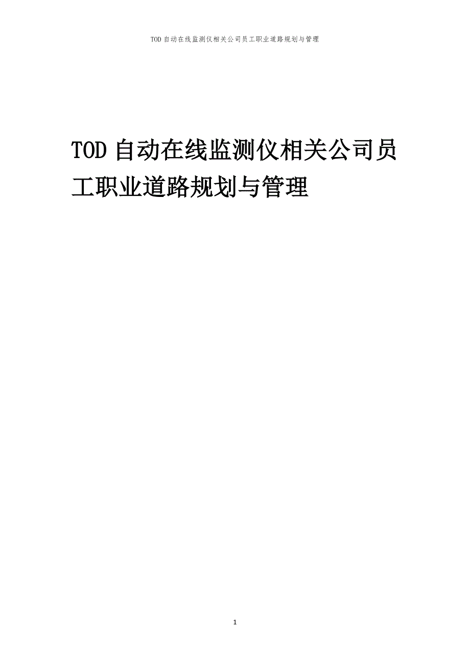 TOD自动在线监测仪相关公司员工职业道路规划与管理_第1页