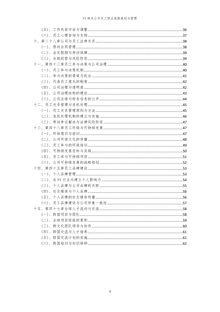 PI相关公司员工职业道路规划与管理_第3页