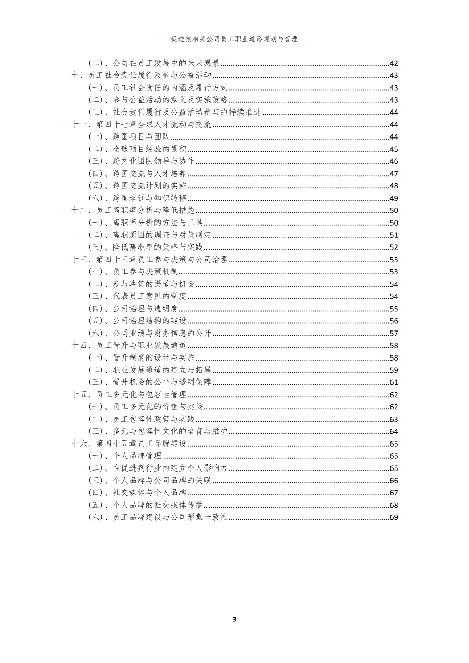 促进剂相关公司员工职业道路规划与管理_第3页