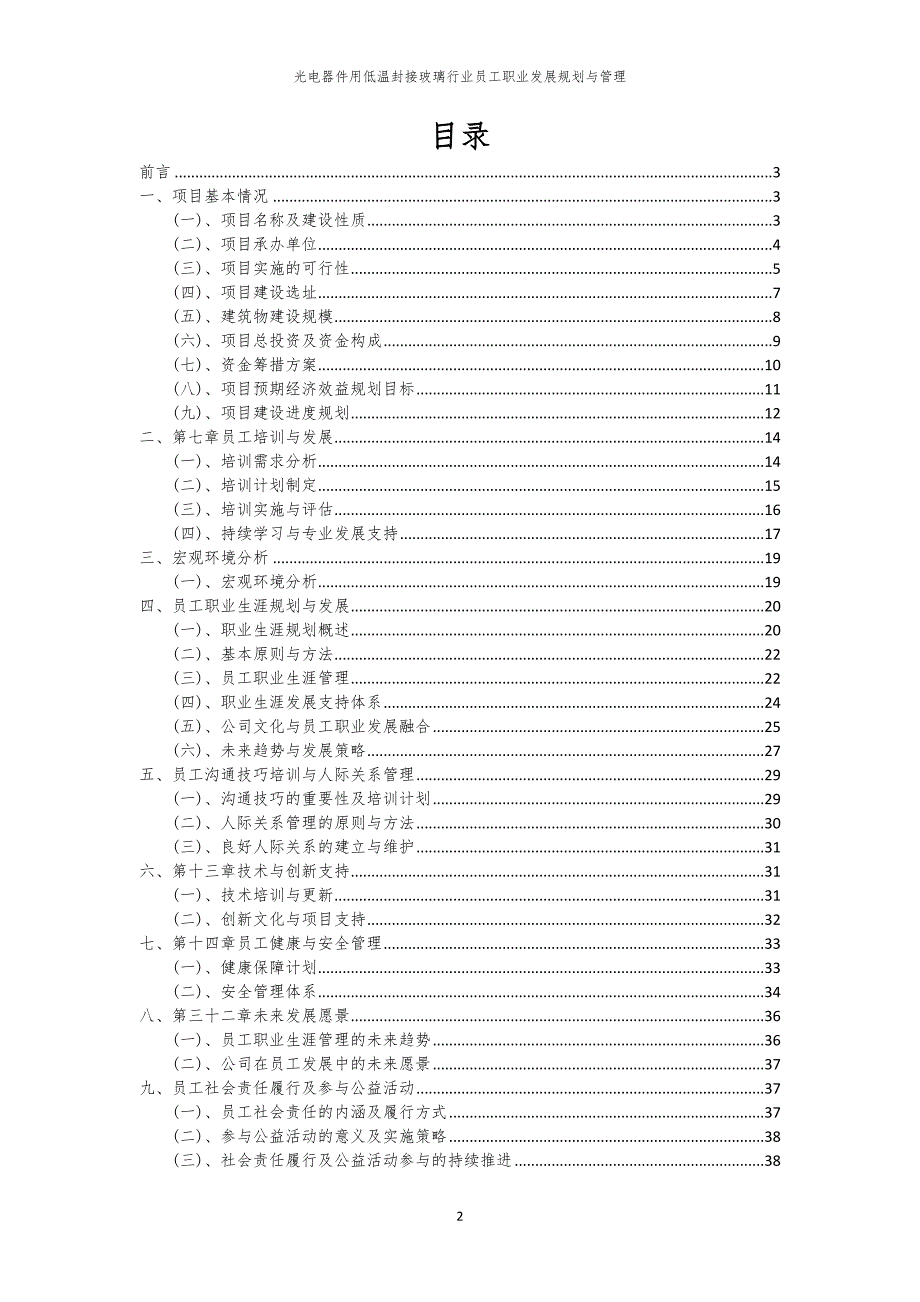 光电器件用低温封接玻璃行业员工职业发展规划与管理_第2页