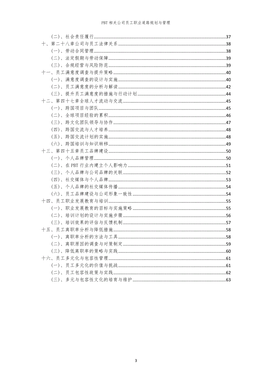 PBT相关公司员工职业道路规划与管理_第3页