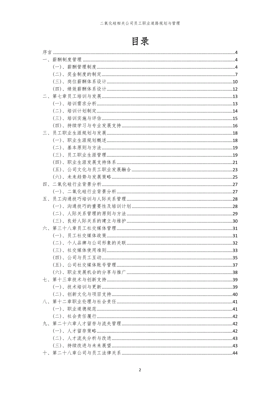 二氧化硅相关公司员工职业道路规划与管理_第2页