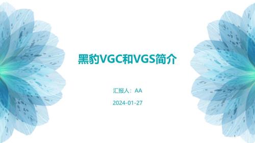 黑豹VGC和VGS简介教学课件