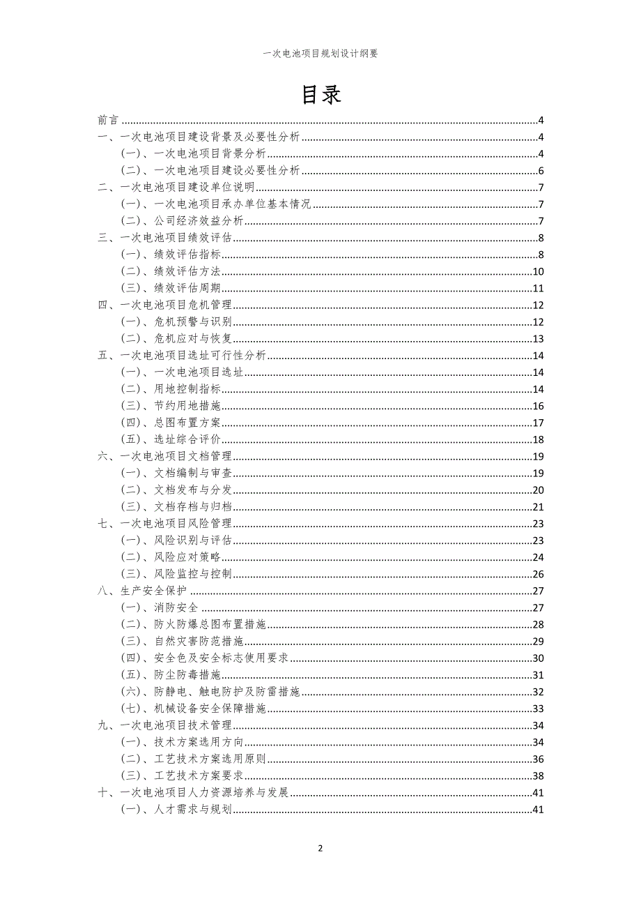 一次电池项目规划设计纲要_第2页