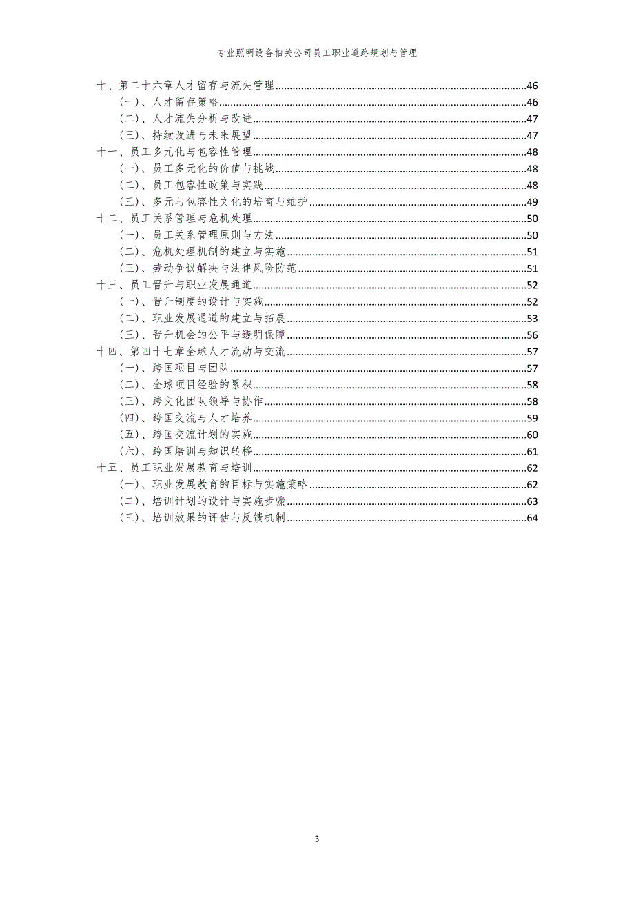 专业照明设备相关公司员工职业道路规划与管理_第3页