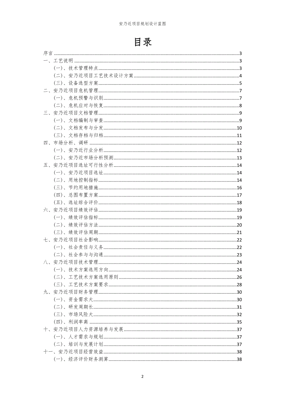 安乃近项目规划设计蓝图_第2页