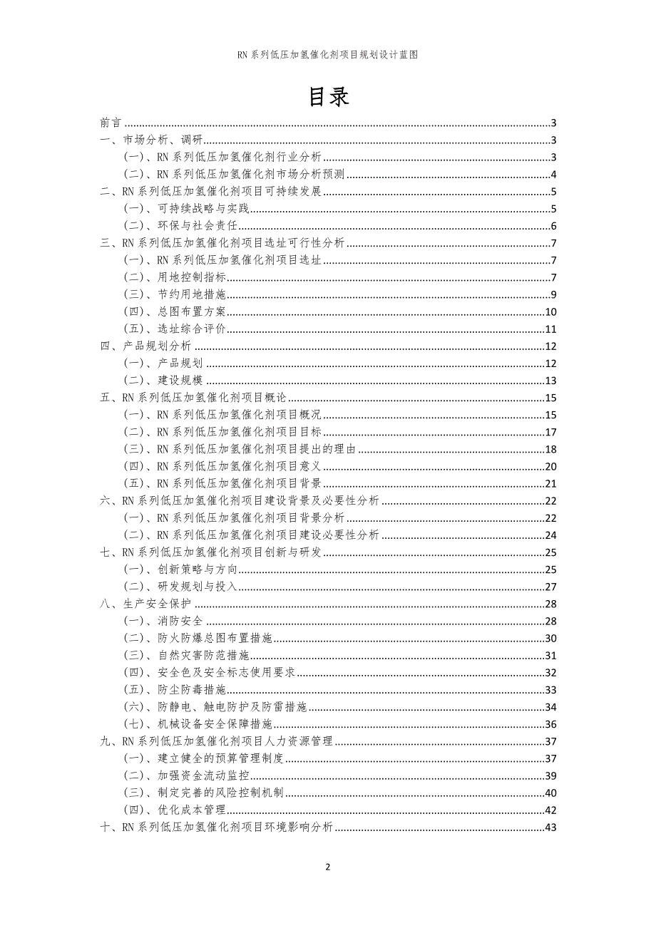 RN系列低压加氢催化剂项目规划设计蓝图_第2页