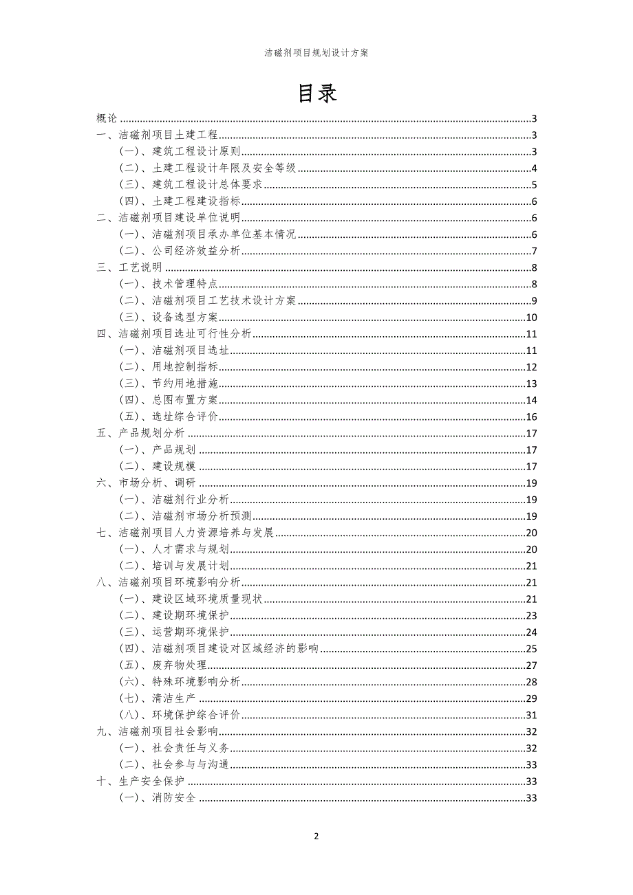 洁磁剂项目规划设计方案_第2页