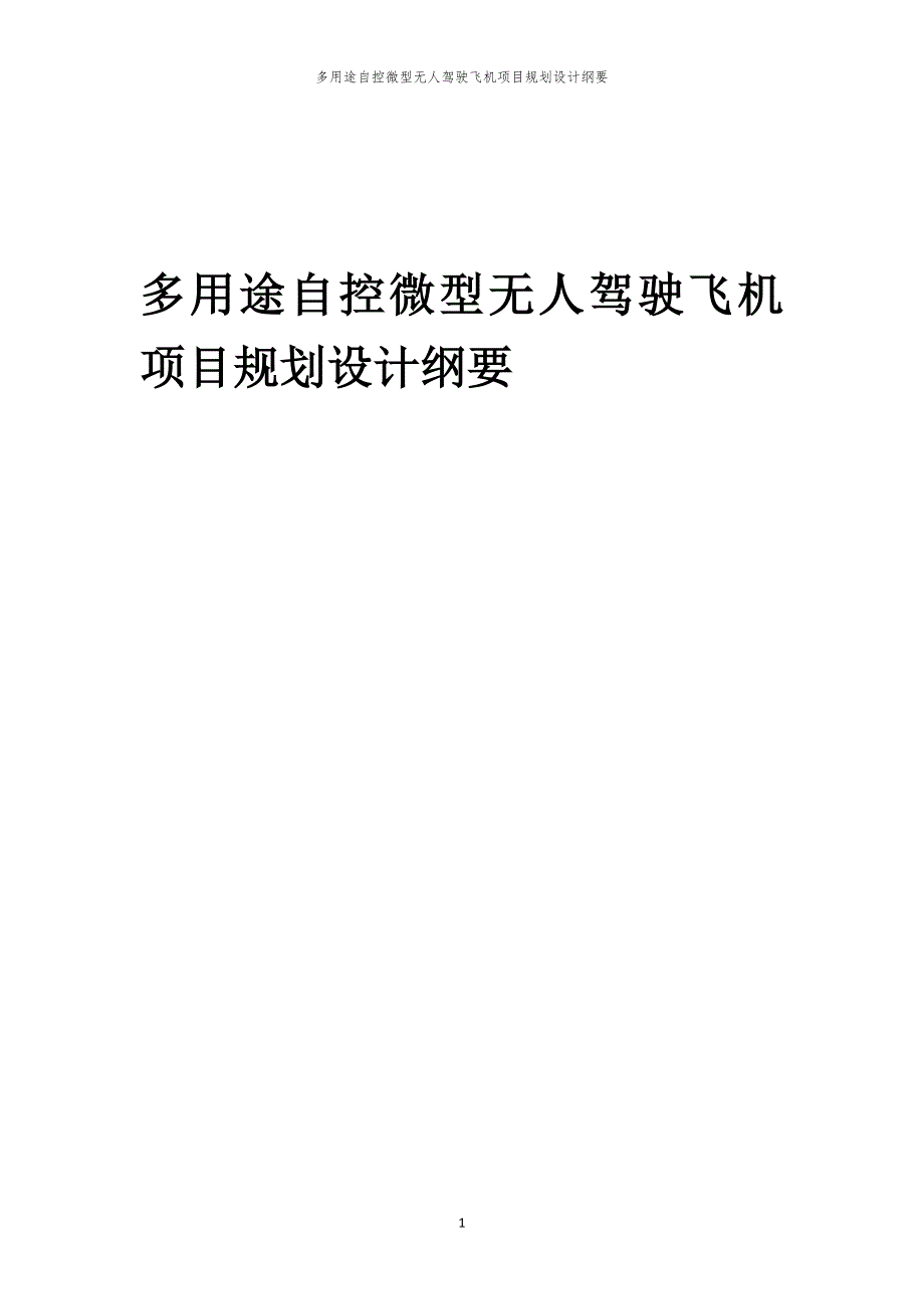 多用途自控微型无人驾驶飞机项目规划设计纲要_第1页