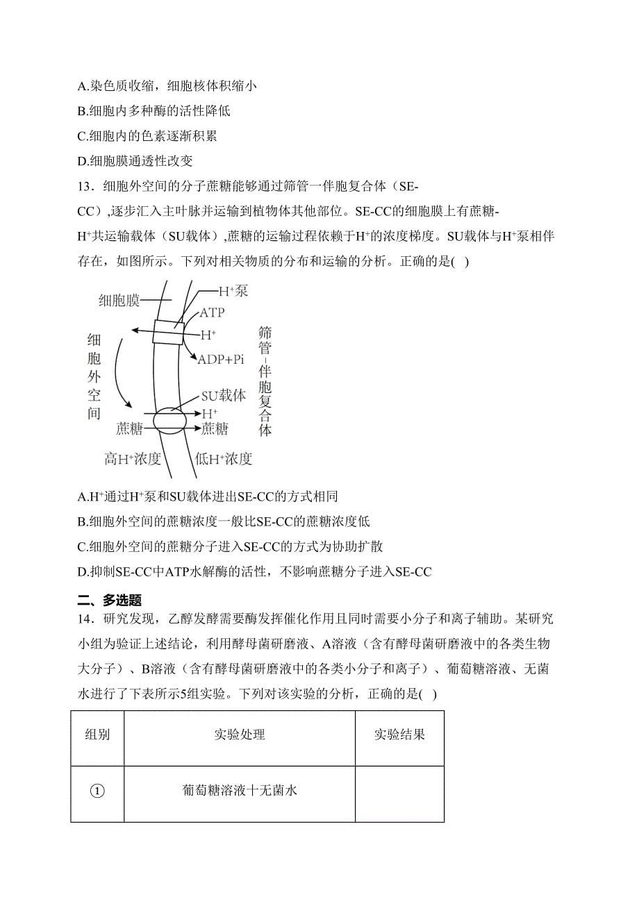 湖南省部分学校2023-2024学年高一上学期1月期末联考生物试卷(含答案)_第5页