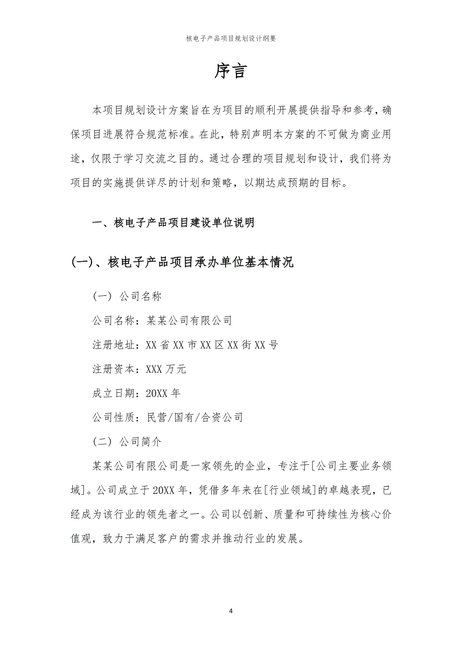 核电子产品项目规划设计纲要_第4页