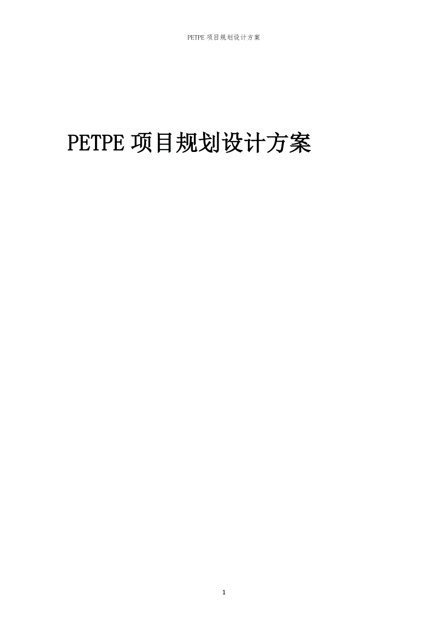 PETPE项目规划设计方案_第1页