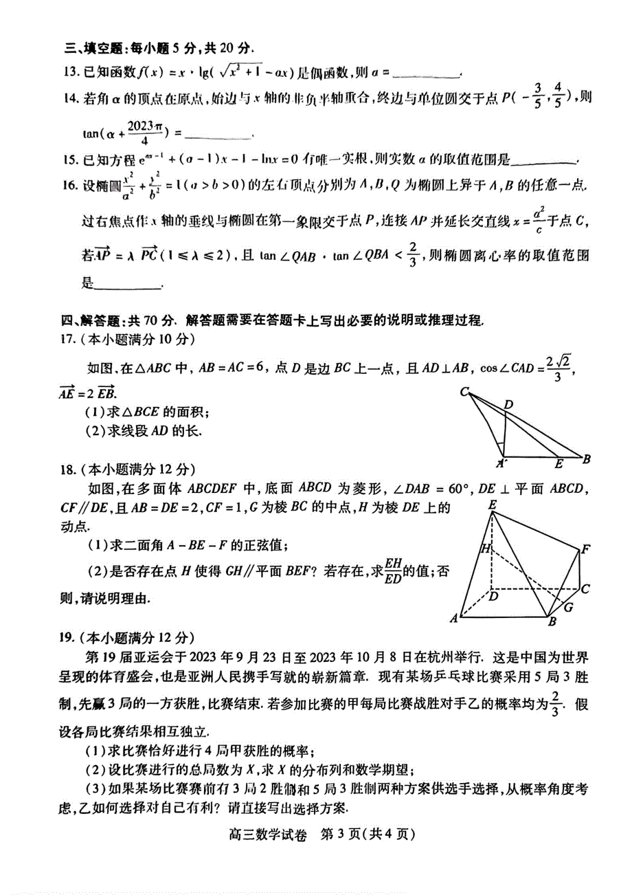 2024届湖北高三元月调考数学试卷（含答案）_第3页