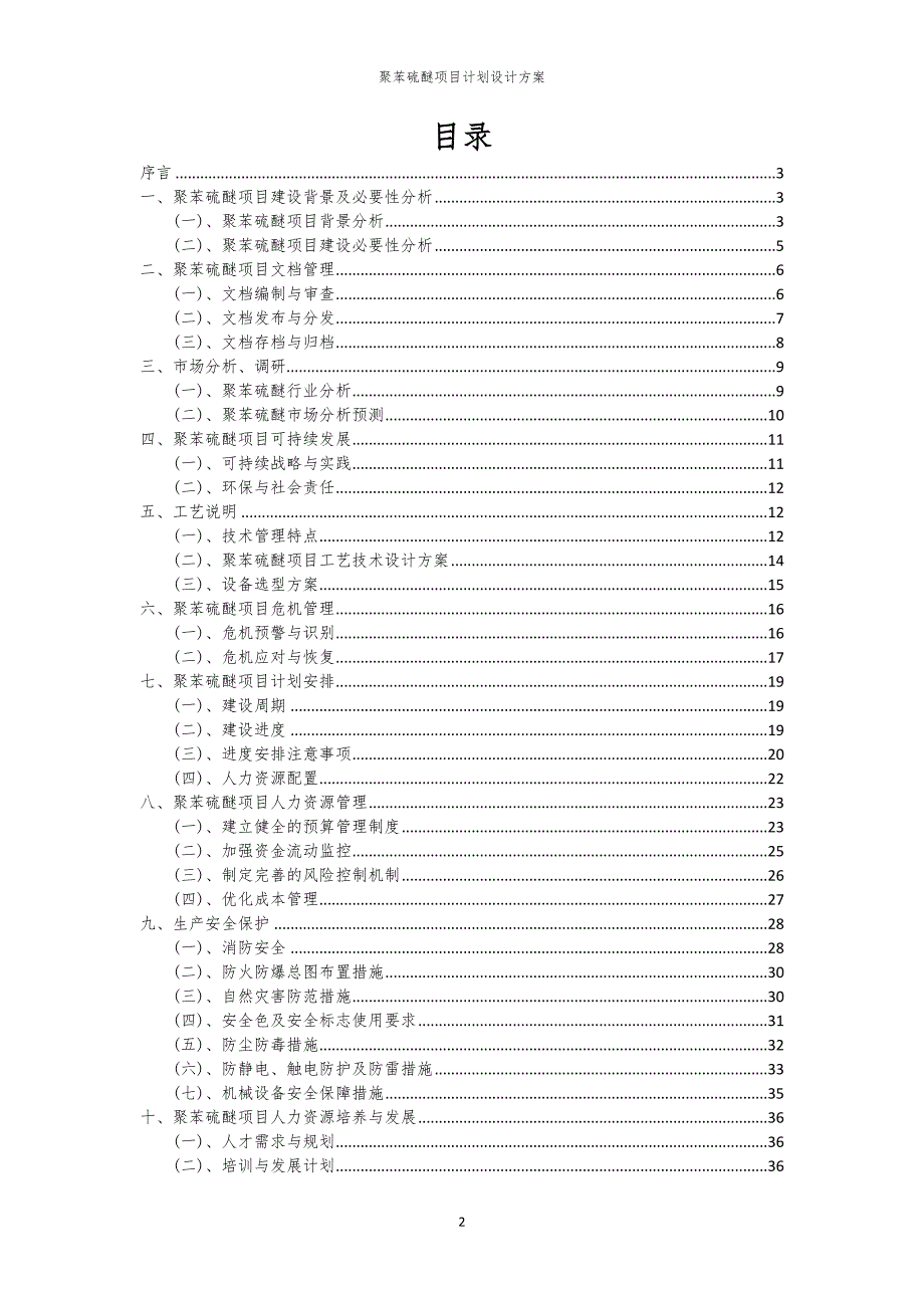 聚苯硫醚项目计划设计方案_第2页