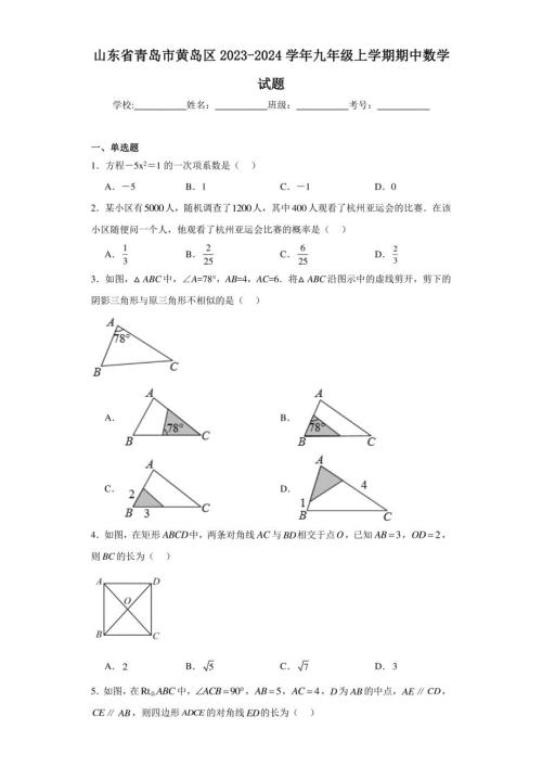 山东省青岛市黄岛区2023-2024学年九年级上学期期中数学试题