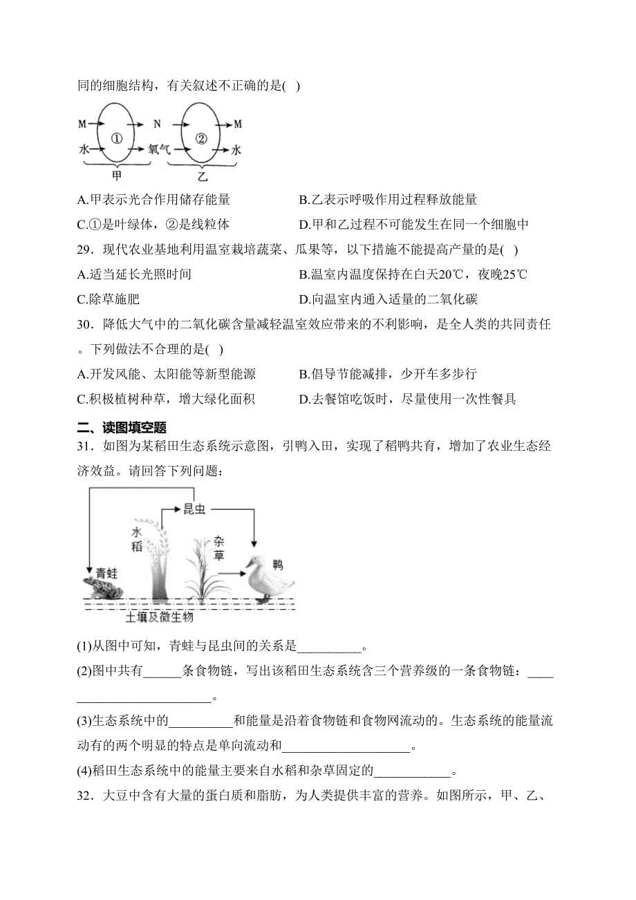 河北省沧州市吴桥县2023-2024学年七年级上学期期末测试生物试卷(含答案)_第5页