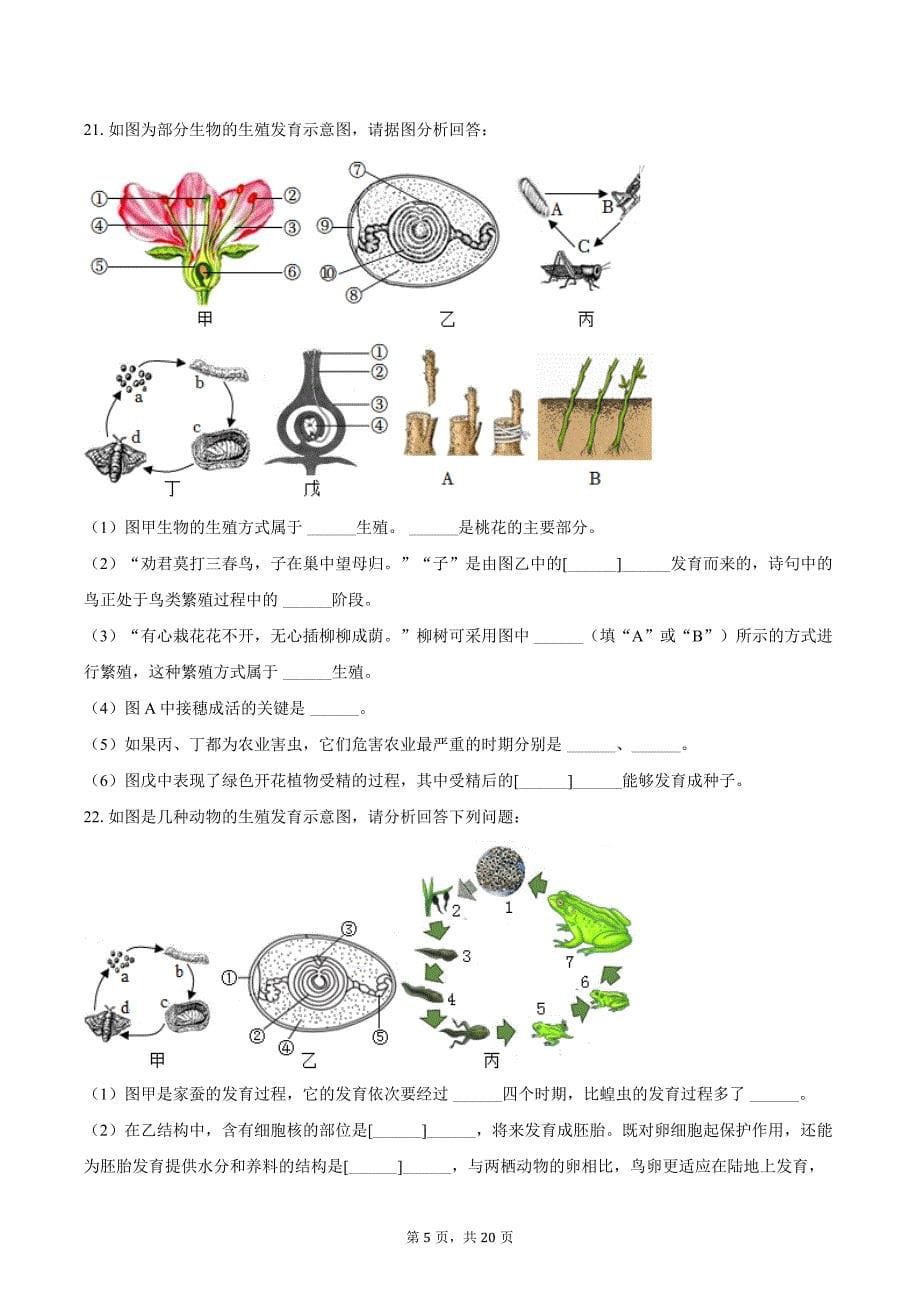 2023-2024学年山东省聊城市东阿三中八年级（下）开学生物学试卷（含解析）_第5页