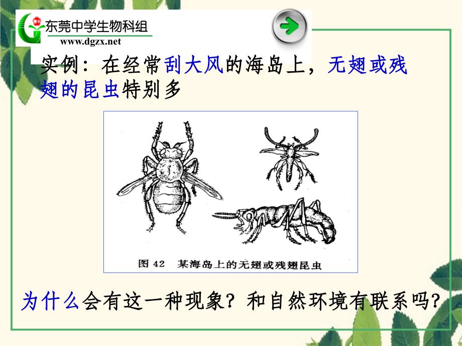 B2-71现代生物进化理论的由来_第1页