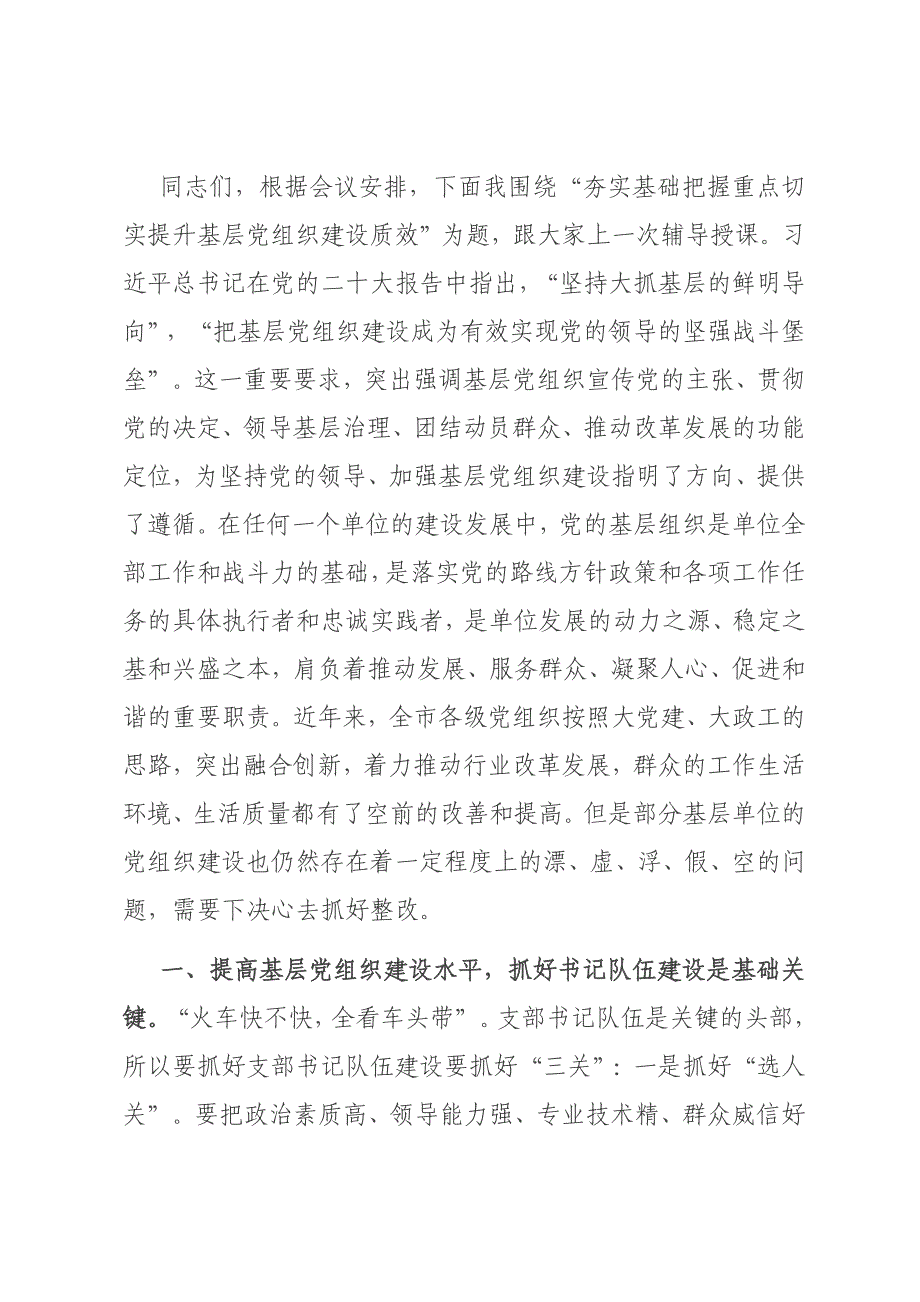 党课讲稿：夯实基础 把握重点 切实提升基层党组织建设质效材料_第1页