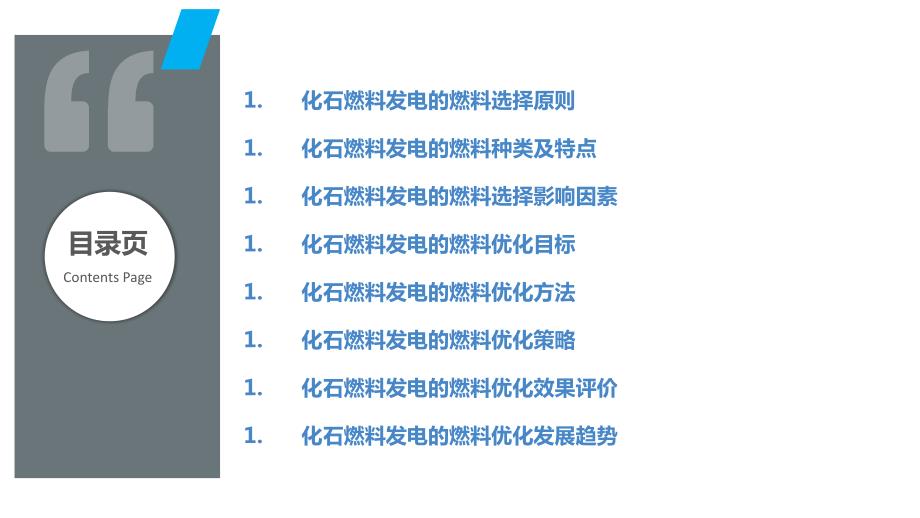 化石燃料发电的燃料选择与优化_第2页