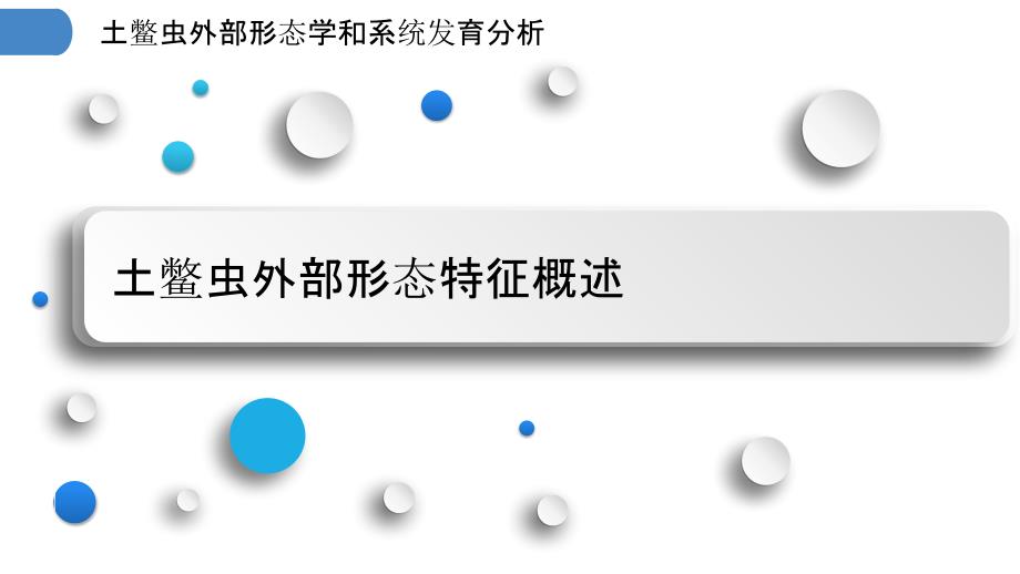 土鳖虫外部形态学和系统发育分析_第3页