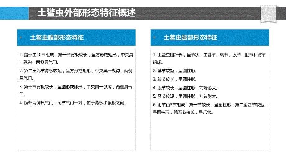 土鳖虫外部形态学和系统发育分析_第5页