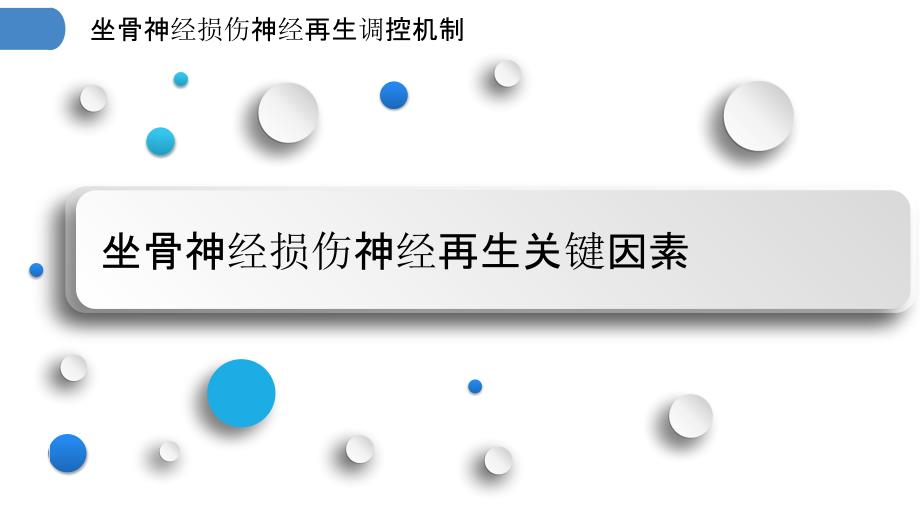 坐骨神经损伤神经再生调控机制_第3页