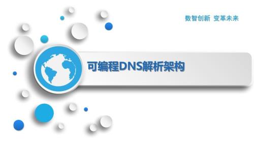 可编程DNS解析架构
