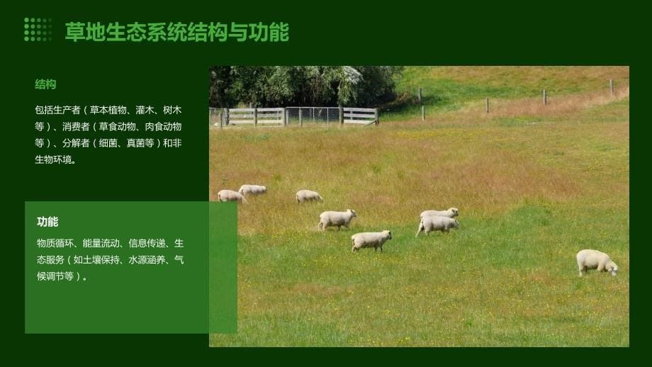 生物技术行业的草地生态与动物保护培训_第5页